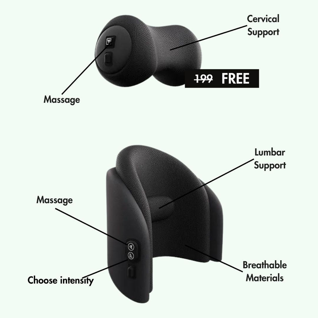 DriveSupport Cushion